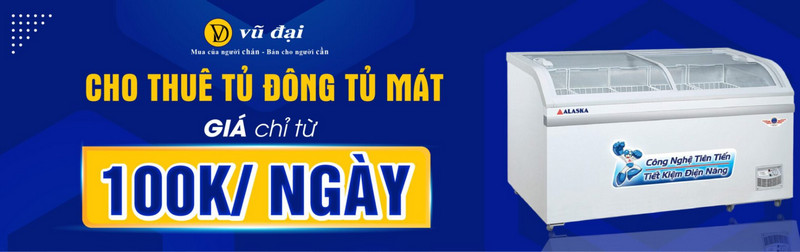 Cho thuê tủ đông, tủ mát, kho đông lạnh giá rẻ dịp Tết 2025 tại Đà Nẵng